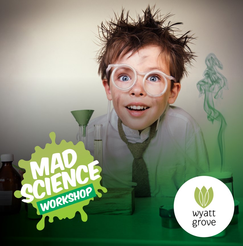Mad Science Workshops! 